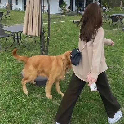 小宝与康熙